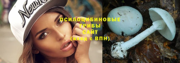 spice Апатиты