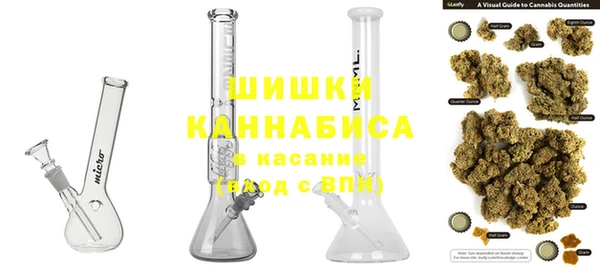 PSILOCYBIN Мегион