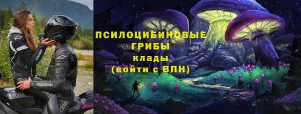 сатива Медногорск