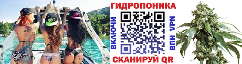 Канабис ГИДРОПОН  дарнет шоп  Усть-Джегута 